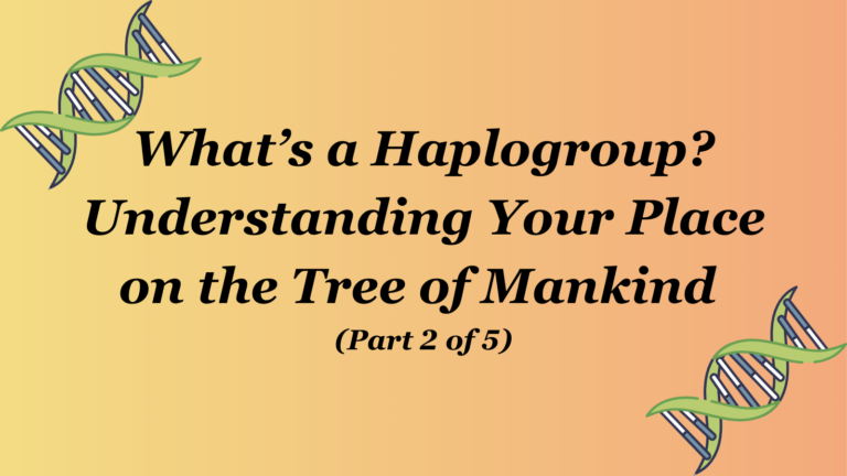 What’s a Haplogroup Understanding Your Place on the Tree of Mankind wide